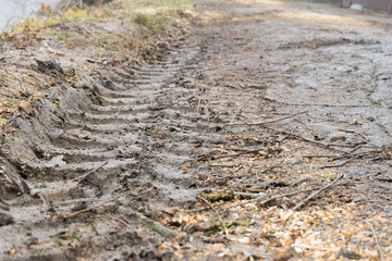 Tire tread of car wheels in the mud.