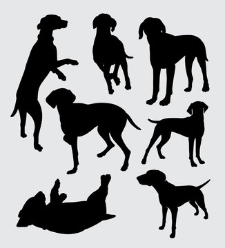 Vizsla dog pet animal silhouette good use for symbol, logo, web icon, mascot, sticker, sign, or any design you want.
