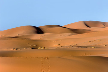 landscape of golden sand dune in Sahara desert