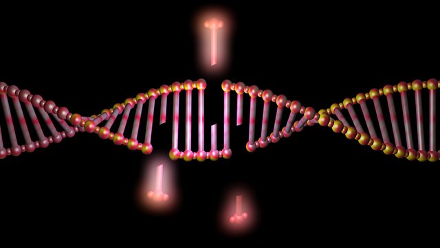DNA molecule structure , strand , repair, editing and manipulation.3d rendering. Orange lighting.Base pairs distant