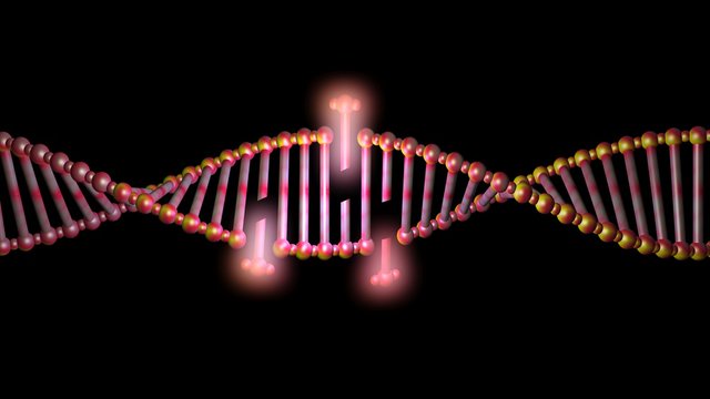 DNA Molecule Structure , Strand , Repair, Editing And Manipulation.3d Rendering. Orange Lighting.Base Pairs Apart