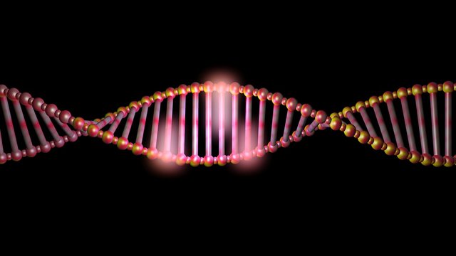 DNA molecule structure , strand , repair, editing and manipulation.3d rendering. Orange lighting.Base pairs together