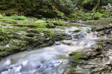 Flowing stream in the summer at Tucquan Glen Nature Preserve in Lancaster County.