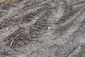 Tire tread of car wheels in the mud.