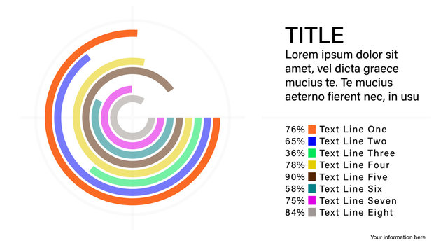 Animated Pie Chart Infographic 3