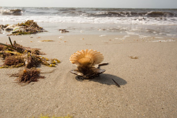 Beach 3