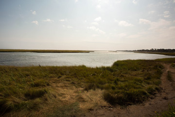 Marsh 2