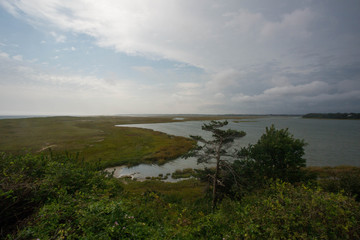 Marsh 1