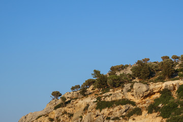 Part of the cliff with bare trees on a background of clear blue sky