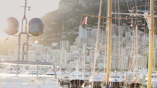 Monaco city town Monte Carlo street palm sunny day