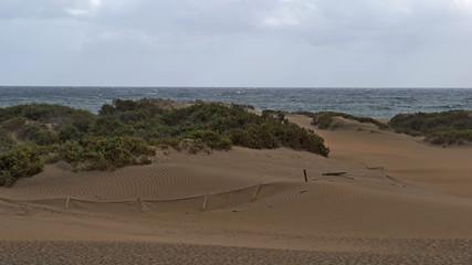 Dunas de Maspalomas - Gran Canaria at storm.