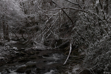 Mountain Stream through snow covered woods in Great Smoky Mountains National Park	
