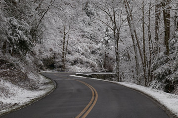 Curvy road through snow covered forest in Great Smoky Mountains National Park