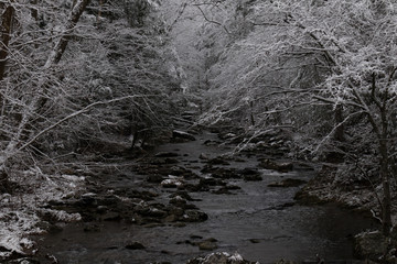 Mountain Stream through snow covered woods in Great Smoky Mountains National Park	
