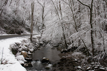 Mountain Stream through snow covered woods in Great Smoky Mountains National Park