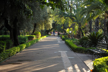 Public garden in Marrakech