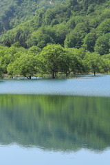Fototapeta premium 初夏の荒沢湖 Arasawa Lake in early summer / Tsuruoka, Yamagata, Japan