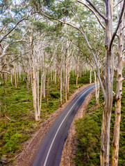 Fototapeta premium Margaret River Vibes