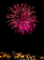 Fireworks Light up the Sky, New Year Celebration.