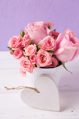 Pink roses flowers  in white pot  and white heart against  violet wall.
