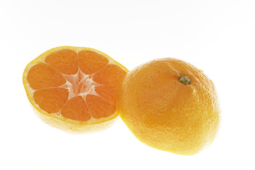 みかん　温州　白抜き