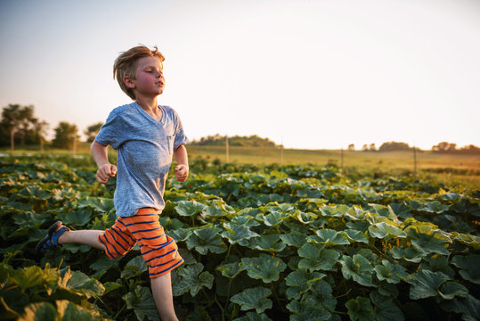 Boy running through a vegetable patch