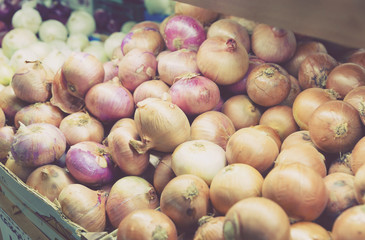 Different onion varieties