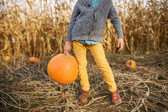 Boy carrying a pumpkin in a pumpkin patch