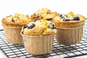 Blueberry muffins on white background