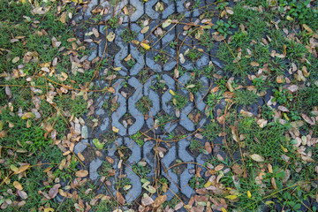 Brick block with small trees inserted.