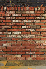 red brick wall at the provence style house with nature.