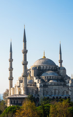 Fototapeta na wymiar Blue mosque Sultan Ahmed in Istanbul, Turkey