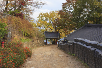 korean traditional national temple at the fall.