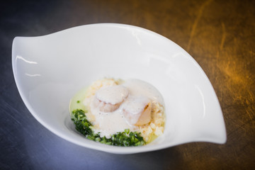 Bowl with scallop in cream