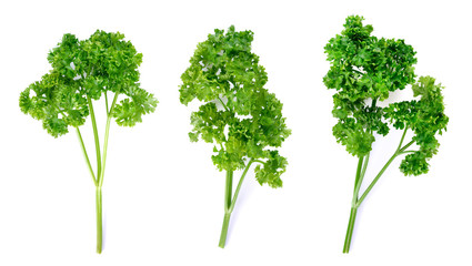 parsley isolated on a white background