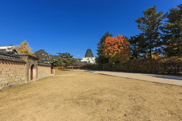 the road, korean royal palace, Gyeongbokgung, landscape