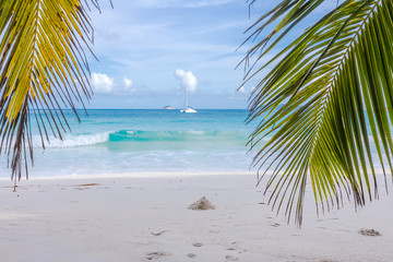 Fototapeta na wymiar plage d'anse Lazio, Praslin, Seychelles