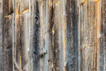 wood texture closeup