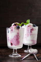 frozen yogurt with blueberries