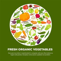 Vegetables healthy food poster of organic veggie, fresh healthy cabbage and vegetarian food.