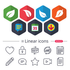 Leaf icon. Fresh natural product symbols.