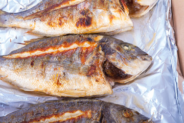 Raw Fish Food