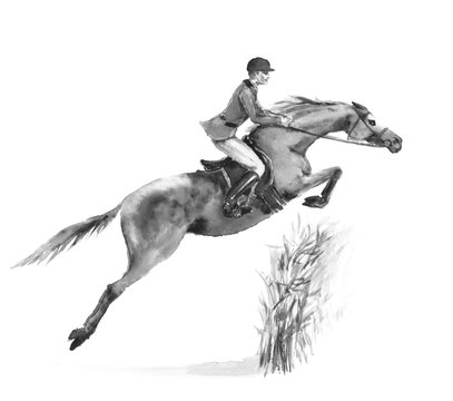 Horseback rider man and horse jumping in forest on white. Black and white monochrome watercolor or ink hand drawing illustration. Horseman on stallion. England equestrian sport fox hunting style