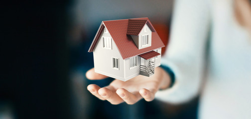 Casa in mano, formato banner 