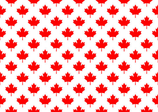 Red maple canada seamless pattern.