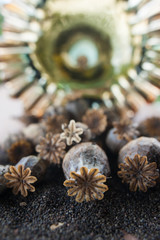 dry poppy capsules, and black seeds, macro