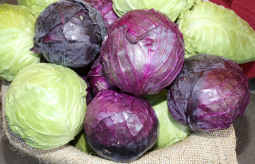 Fototapeta na wymiar green and purple cabbages for sale