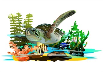 Naklejka premium Sea turtle in coral reefs.