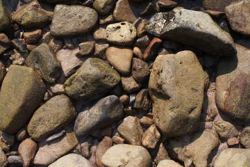 Stones at baltic sea
