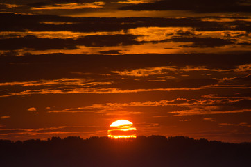 Sunset or sunrise sun disc above the tops of the forest trees silhouettes